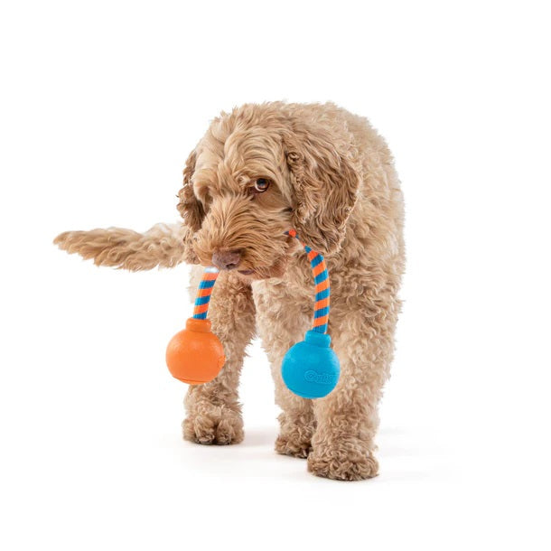 GURU Pet Company Squeaking Rope & Tug Dog Toy Medium