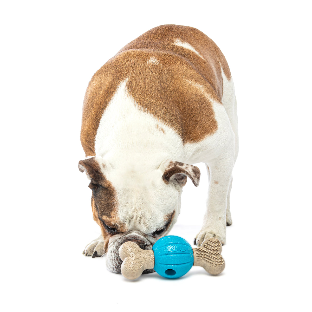 GURU Pet Company Spin & Chew Bacon Bone Dental Dog Toy