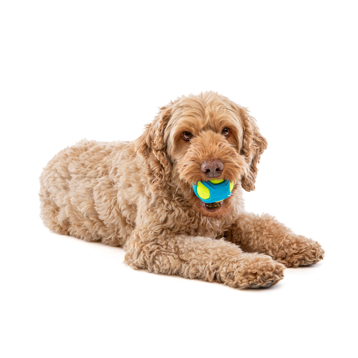 GURU Pet Company Tennis Max Ball Dog Fetch Toy Medium