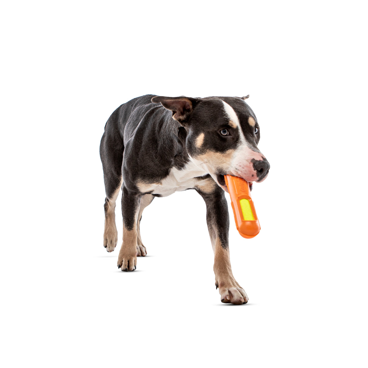 GURU Pet Company Tennis Max Stick Dog Chew Toy Medium