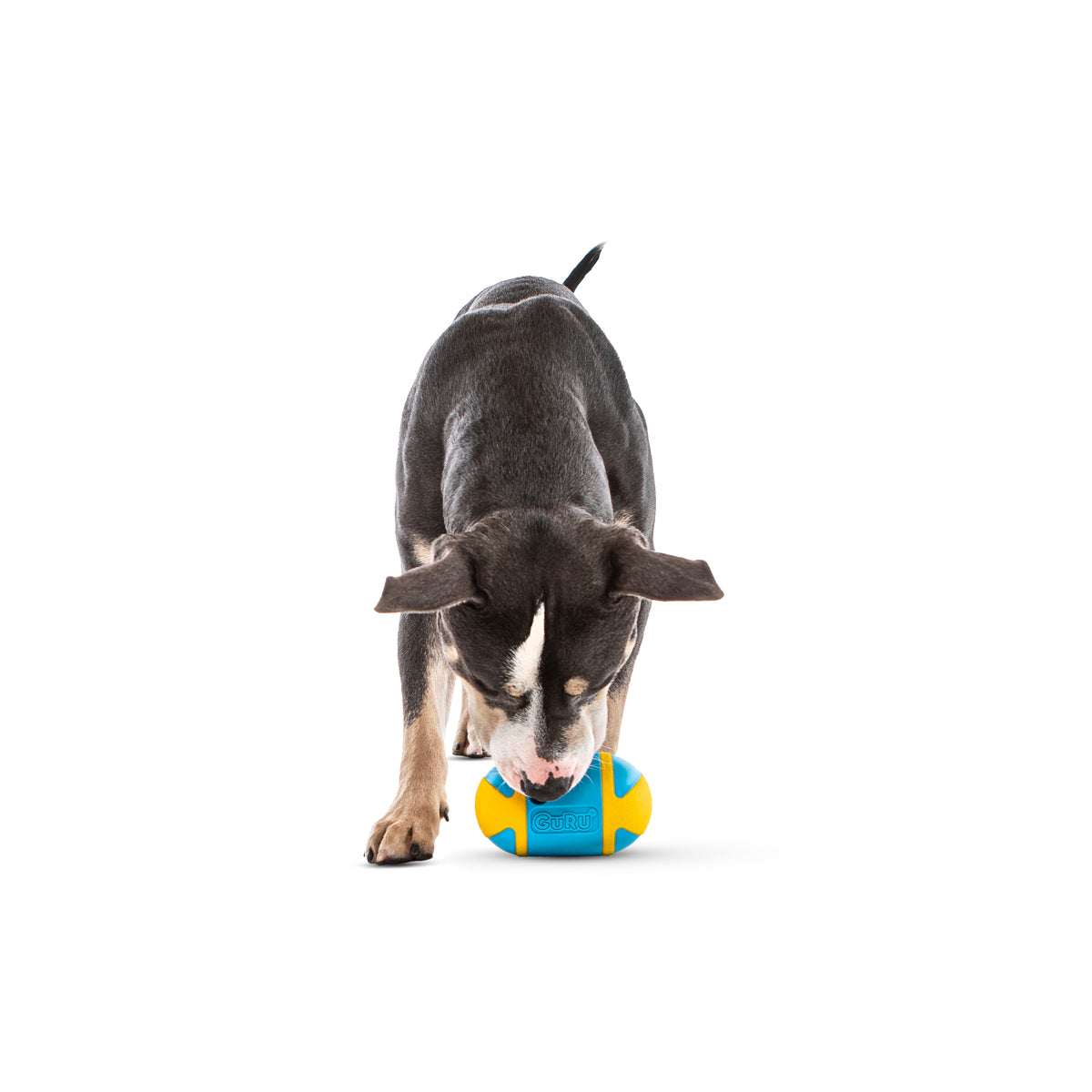 GURU Pet Company Rock 'N Treat Interactive Dog Toy Medium