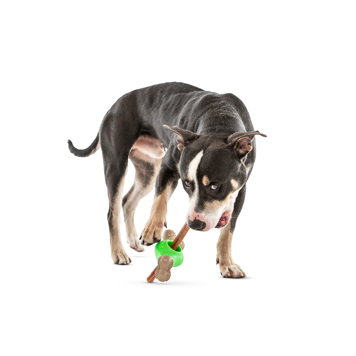 GURU Pet Company Adjust-A-Chew Dental Dog Toy Medium