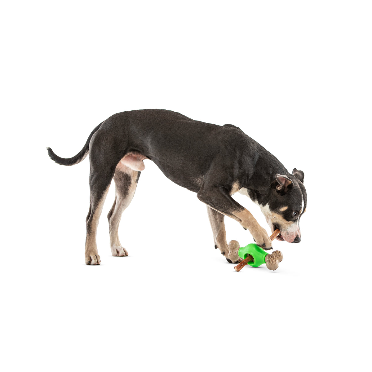 GURU Pet Company Adjust-A-Chew Dental Dog Toy Medium