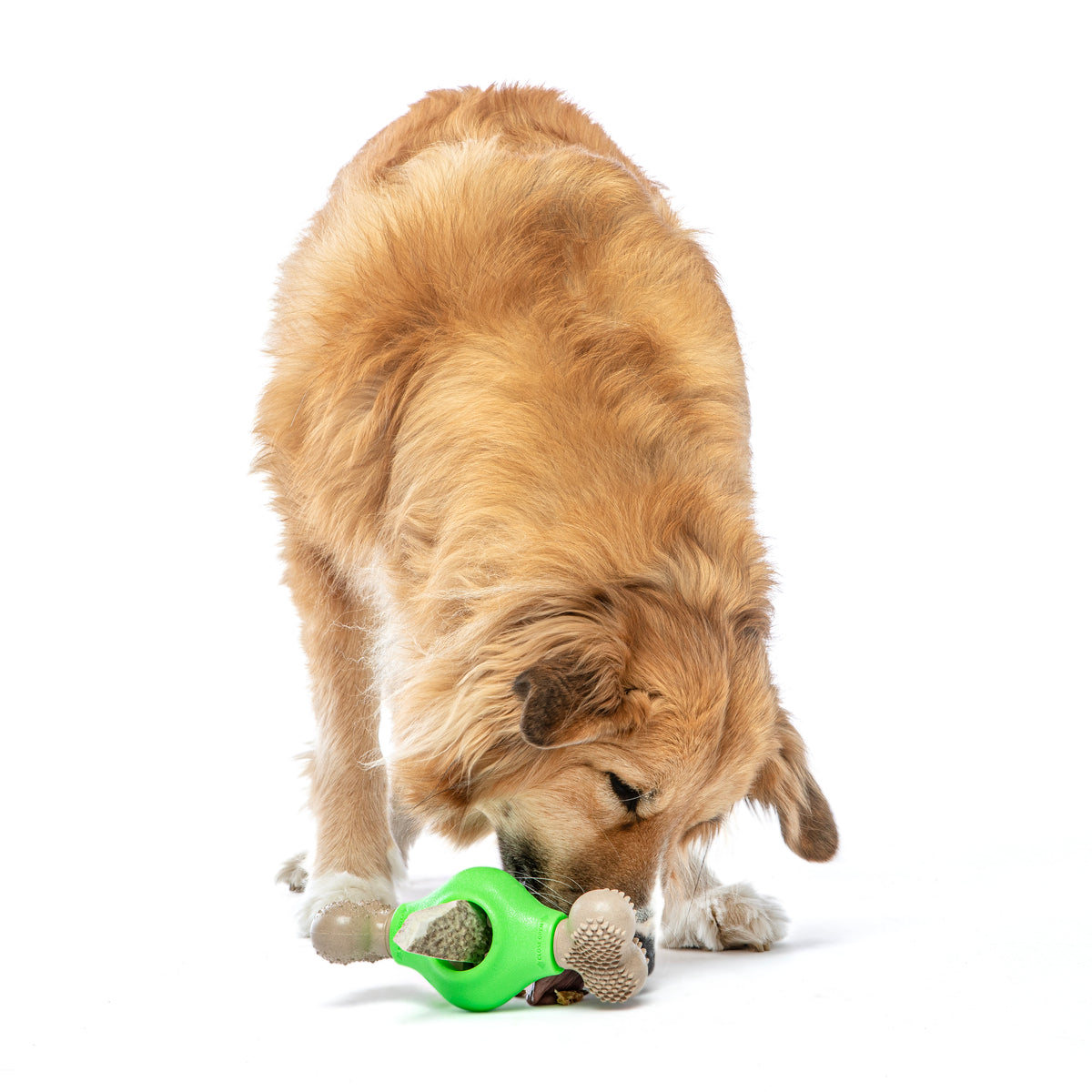 GURU Pet Company Adjust-A-Chew Dental Dog Toy Medium