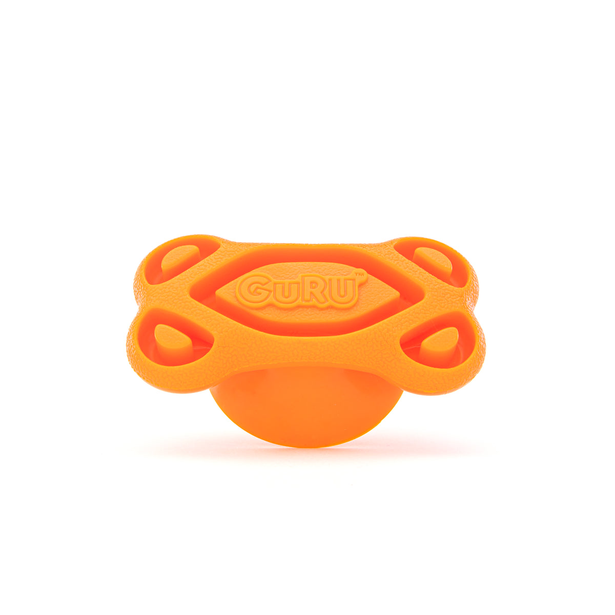 GURU Pet Company Distracto-Pod Bone Dog Chew Toy Medium