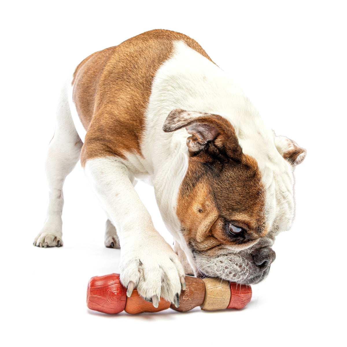 GURU Pet Company Multi-Flavor Stick Dog Chew Toy Medium