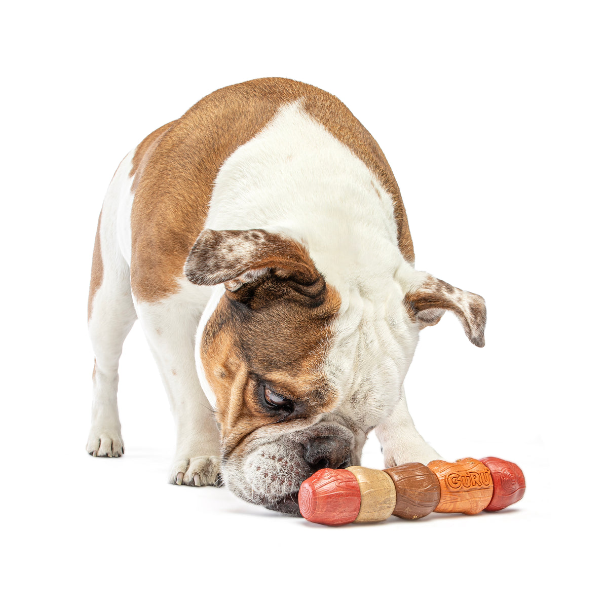GURU Pet Company Multi-Flavor Stick Dog Chew Toy Medium