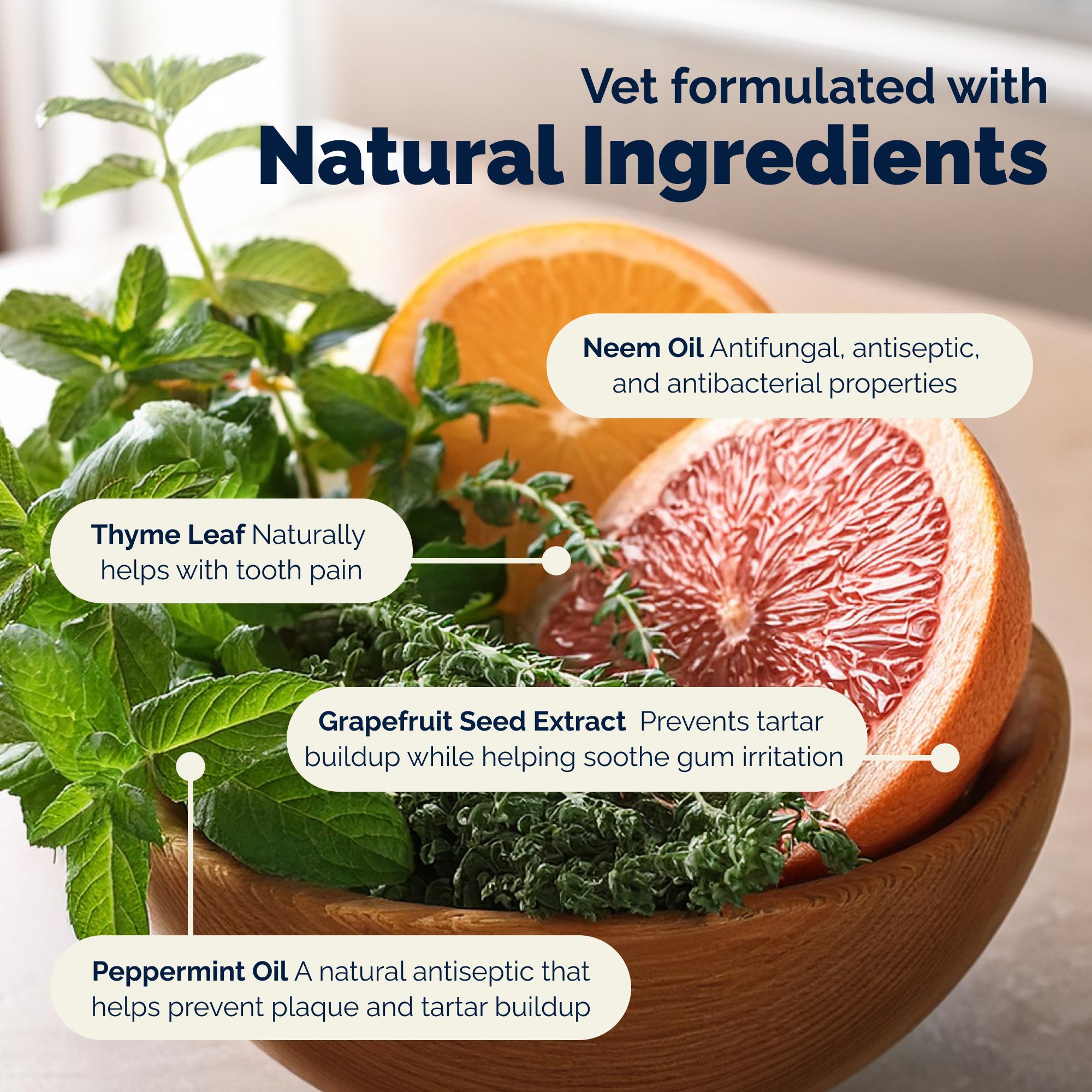 Dentabliss Peppermint Dental Wipes Finger Mitts 50ct