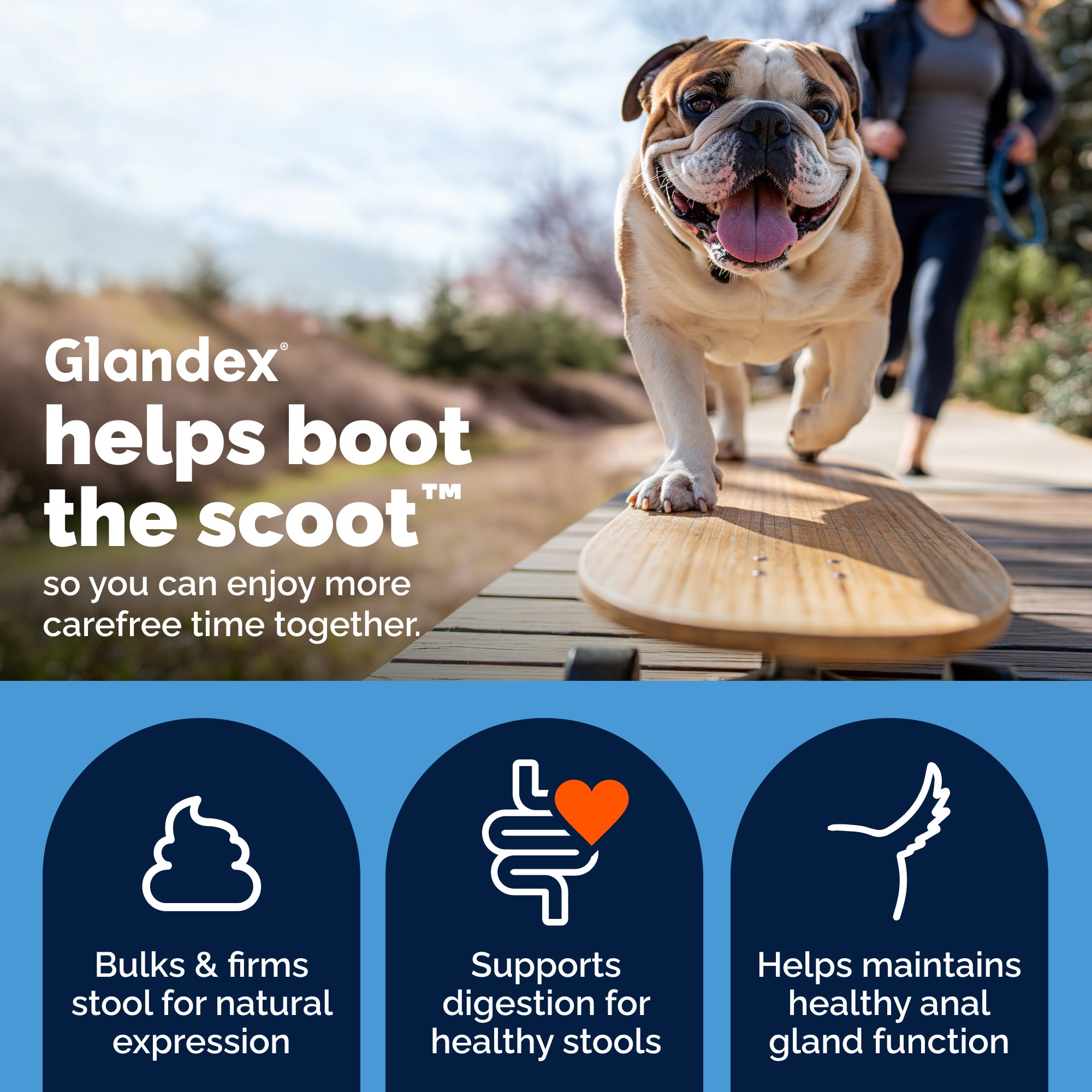 Vetnique Glandex Beef Liver Flavored Anal Gland Support Powder for Dogs, 4 oz.