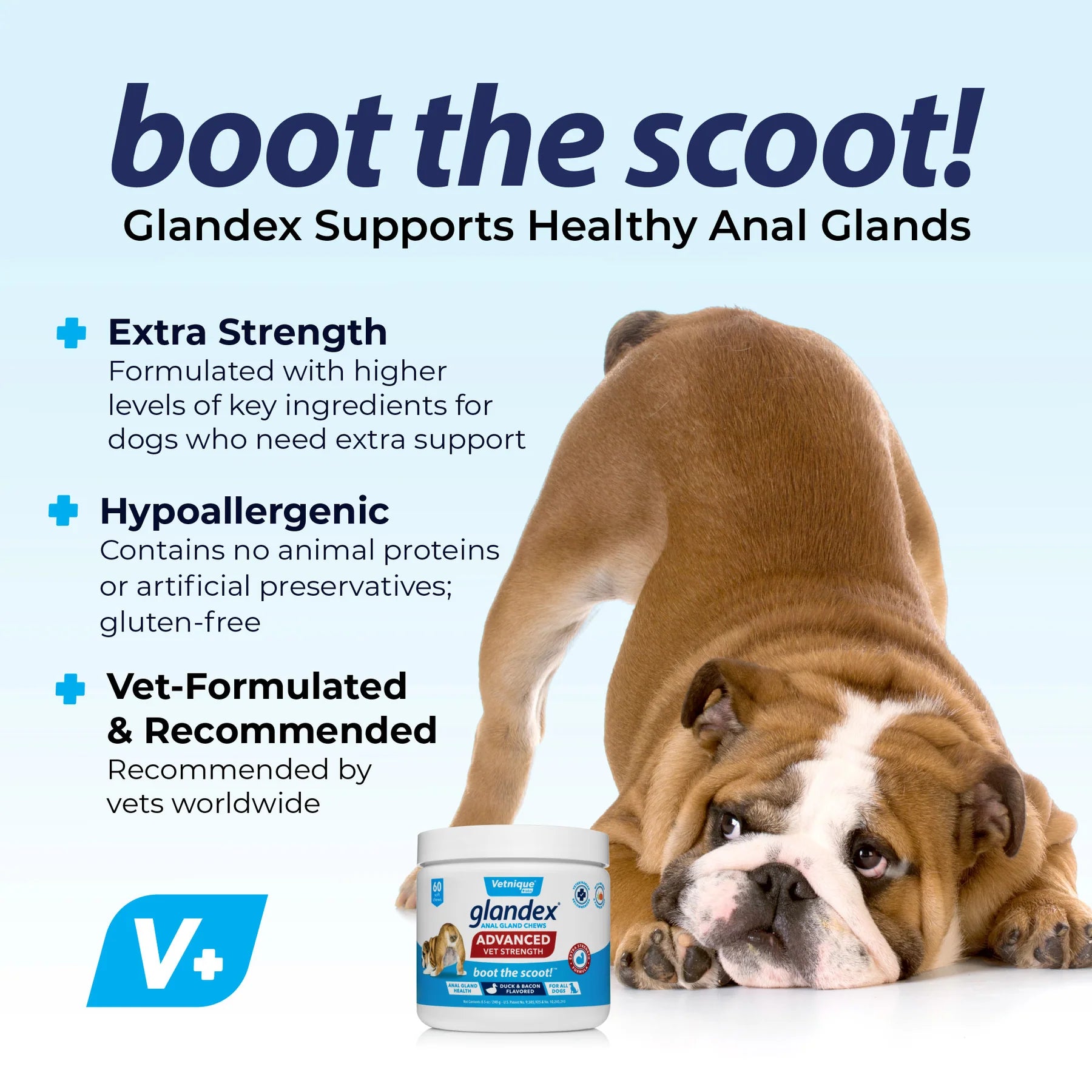 Glandex Anal Gland Support Soft Chews - Duck & Bacon Flavor 60 ct.