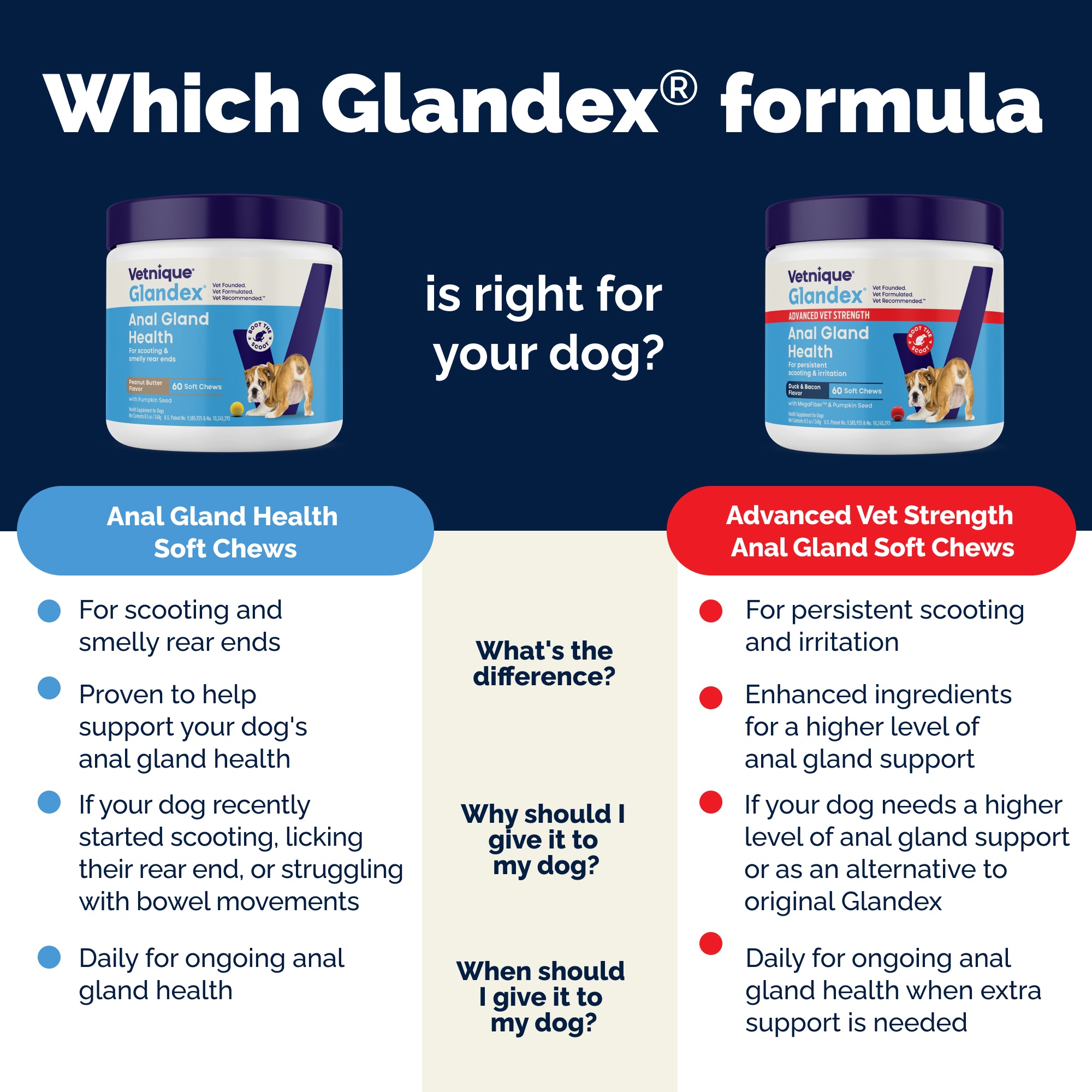 Glandex Anal Gland Support Soft Chews - Bacon and Pumpkin Flavor 30 ct.