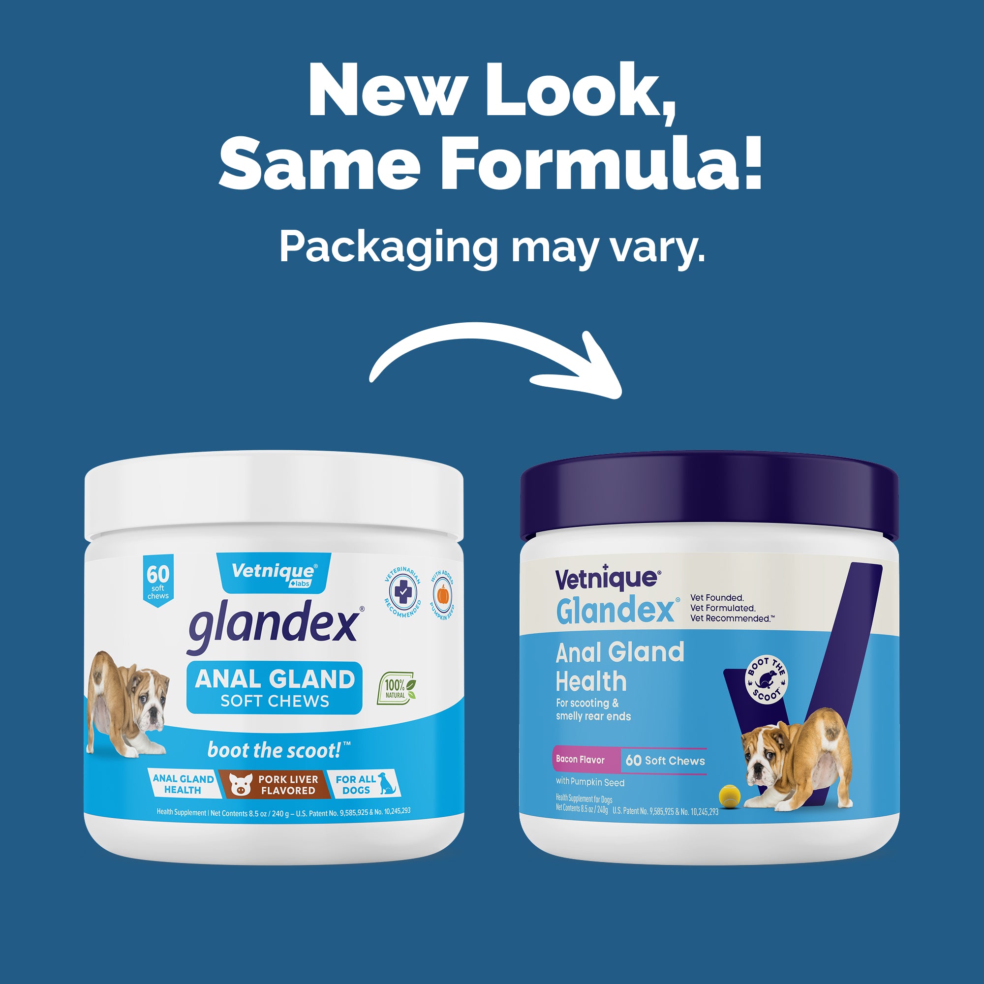 Glandex Anal Gland Support Soft Chews - Bacon and Pumpkin Flavor 60 ct.