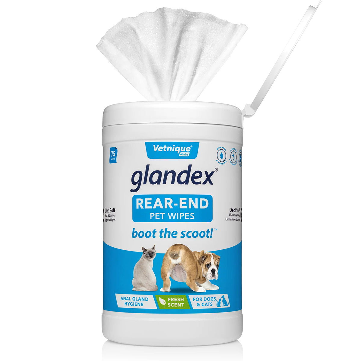 Glandex Rear End Pet Wipes Cannister
