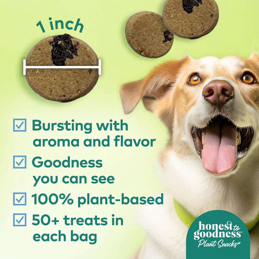 Honest To Goodness™ Plant Snacks Golden Years Blueberry & Carrot Recipe Dog Treats 8oz