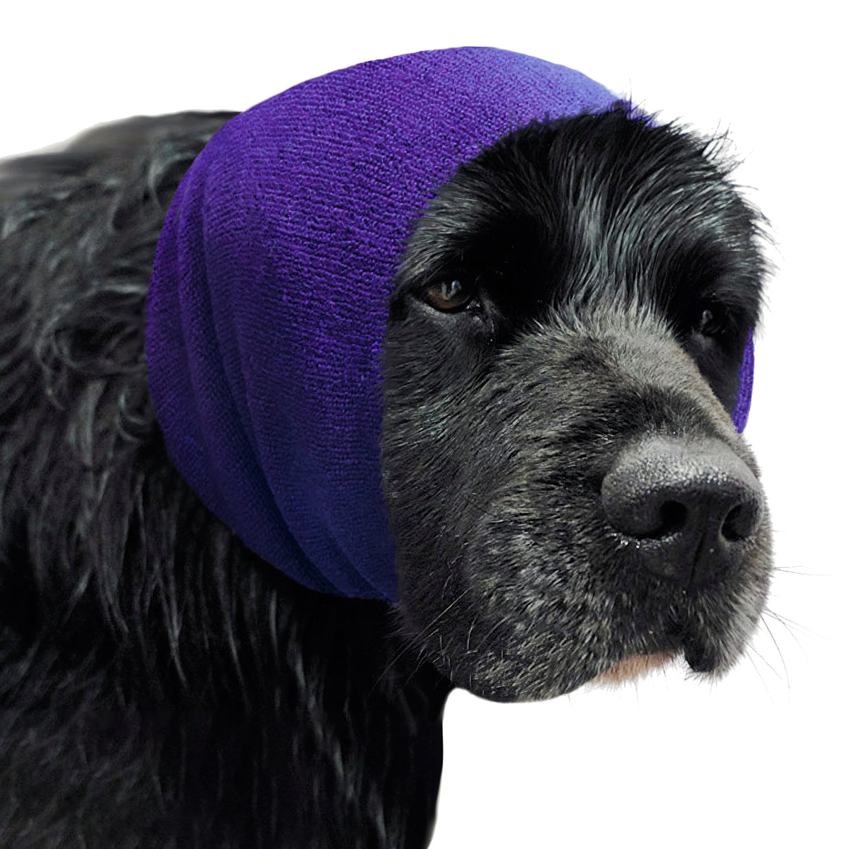 HAPPY HOODIE- XL PURPLE