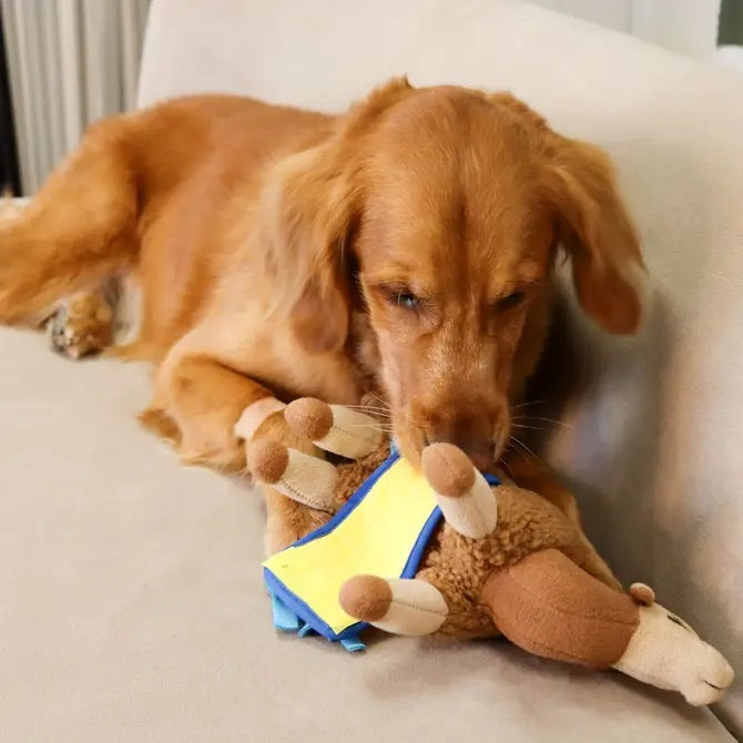 Injoya Sahara Camel Snuffle Toy