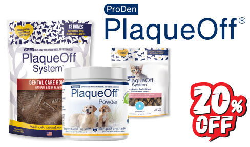 20% OFF PLAQUEOFF