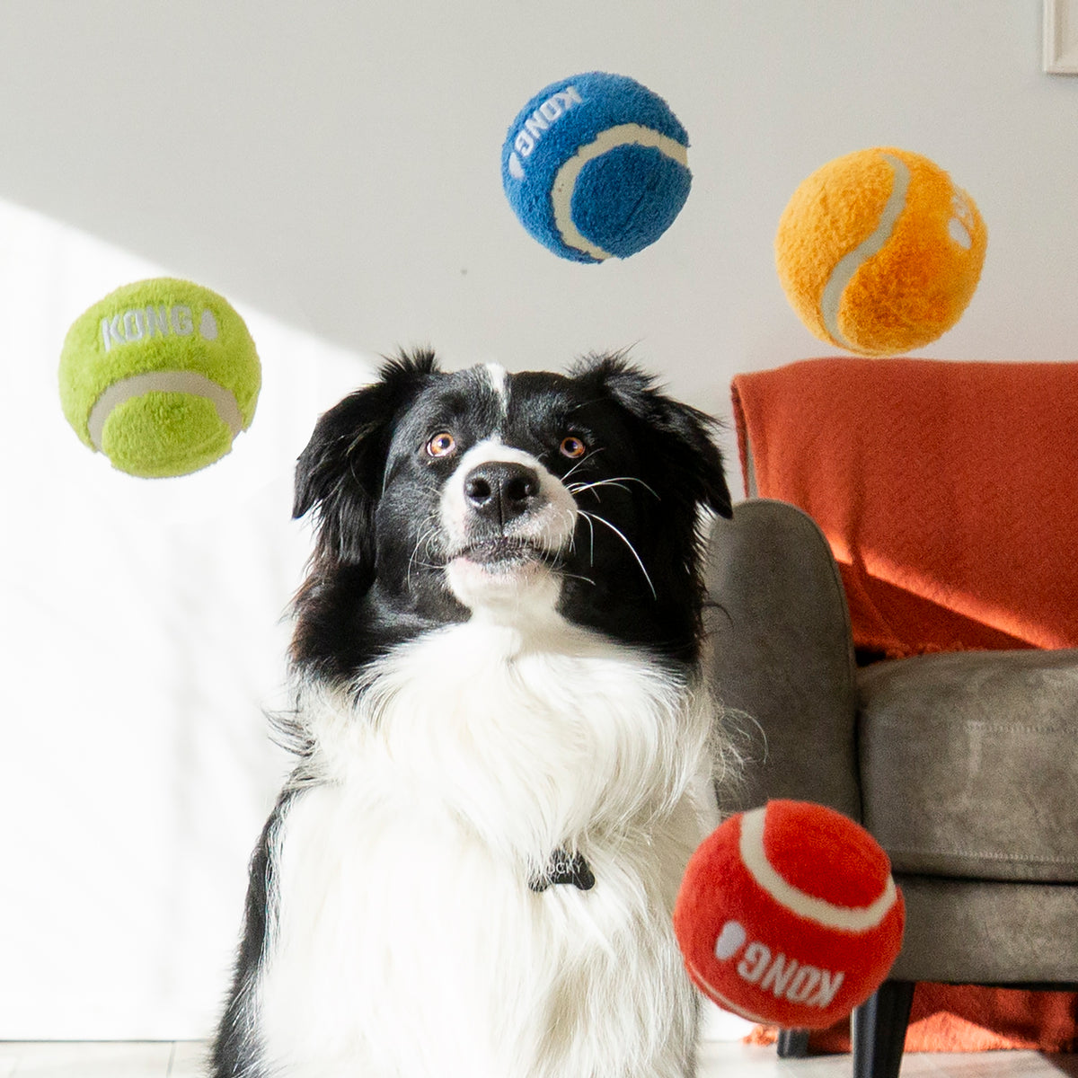 KONG® Sport® Softies Ball Dog Fetch Toy Assorted Small