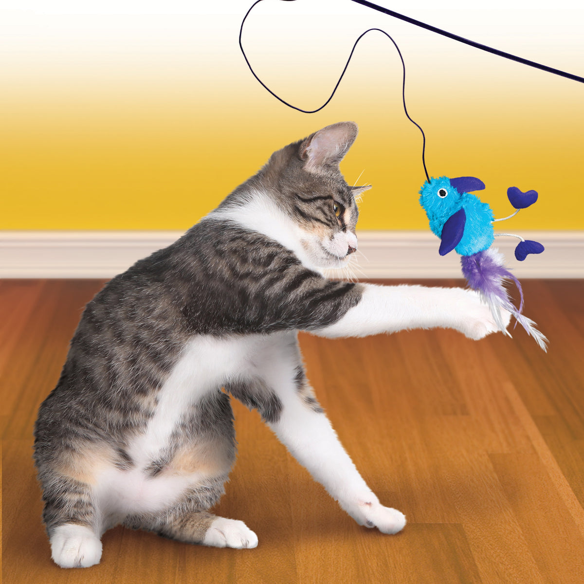 KONG® Teaser Feather Assorted Cat Toy