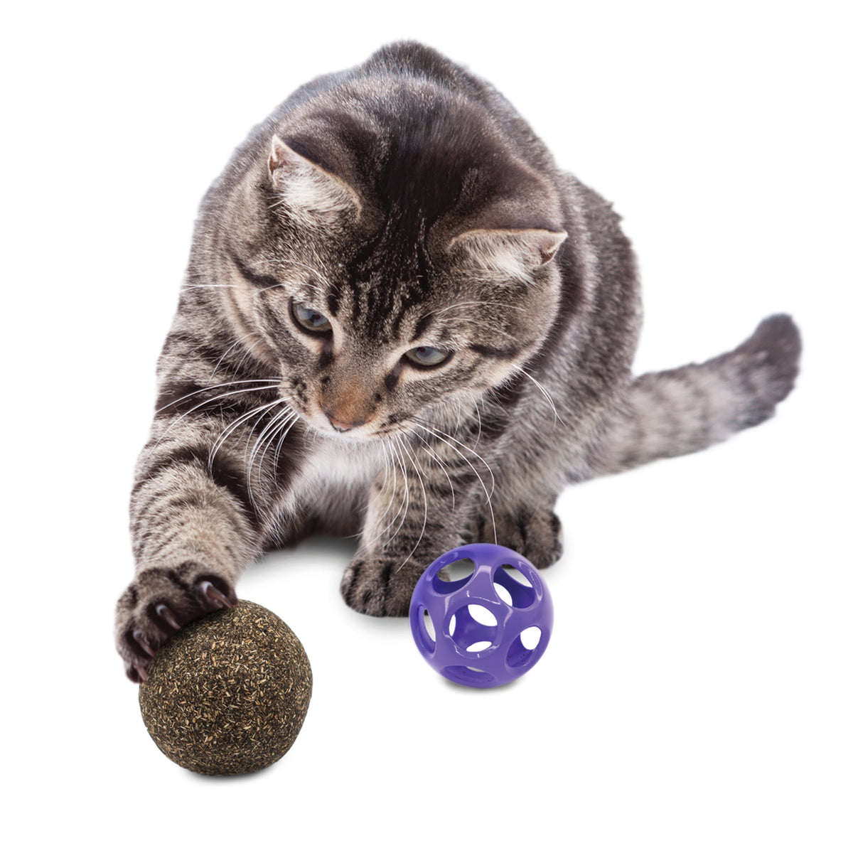 KONG® Blissy Moon Ball w/catnip Cat Toy