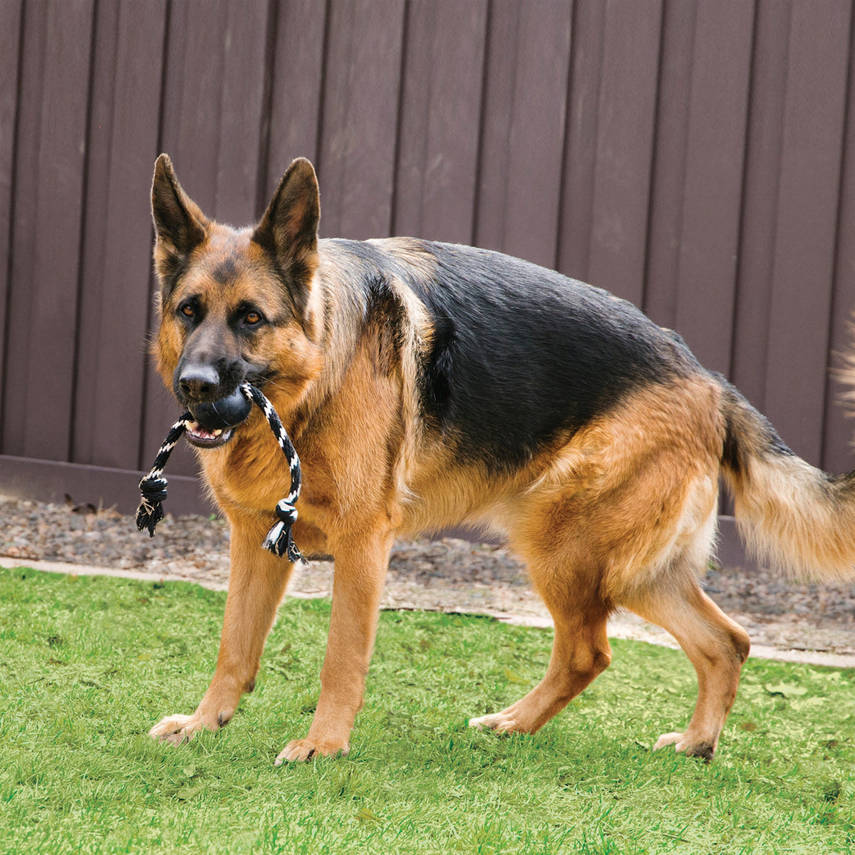 KONG® Extreme Ball w/Rope Toy Large