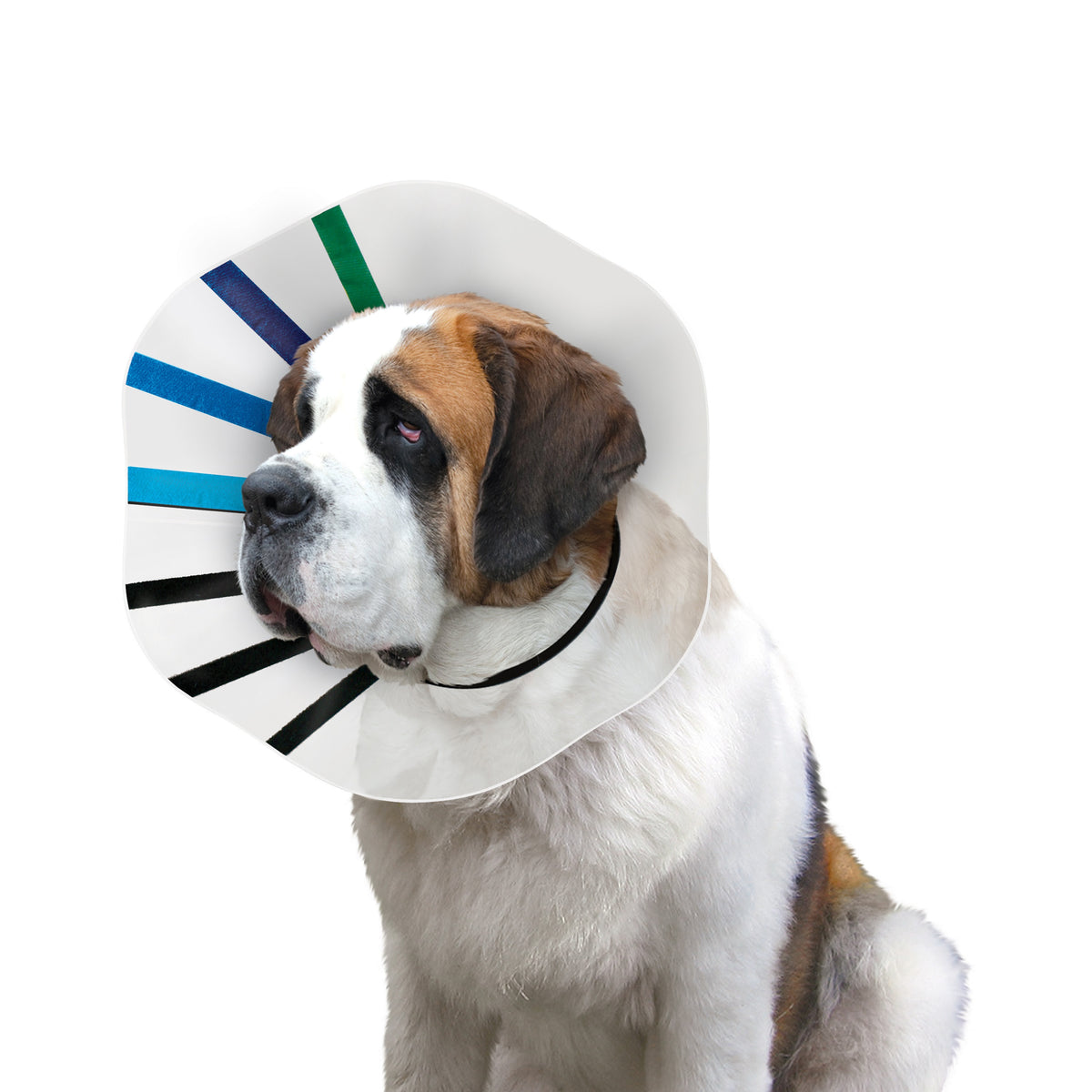 KONG® E-Collar EZ Clear™ XL