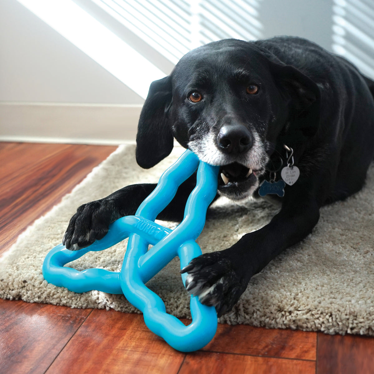KONG® Flyangle Dog Fetch Toy Assorted Large