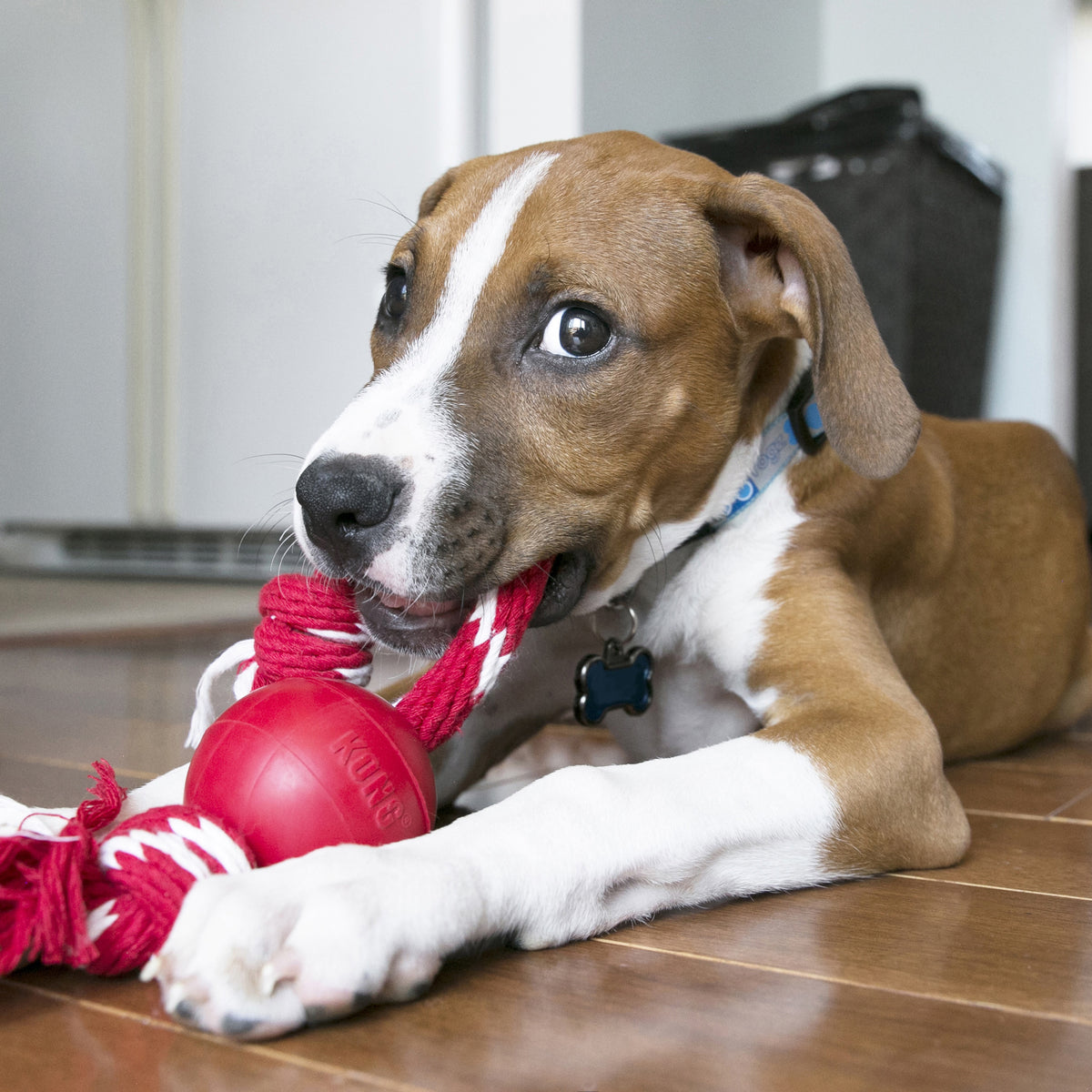 KONG® Ball w/Hole Dog Fetch Toy Small
