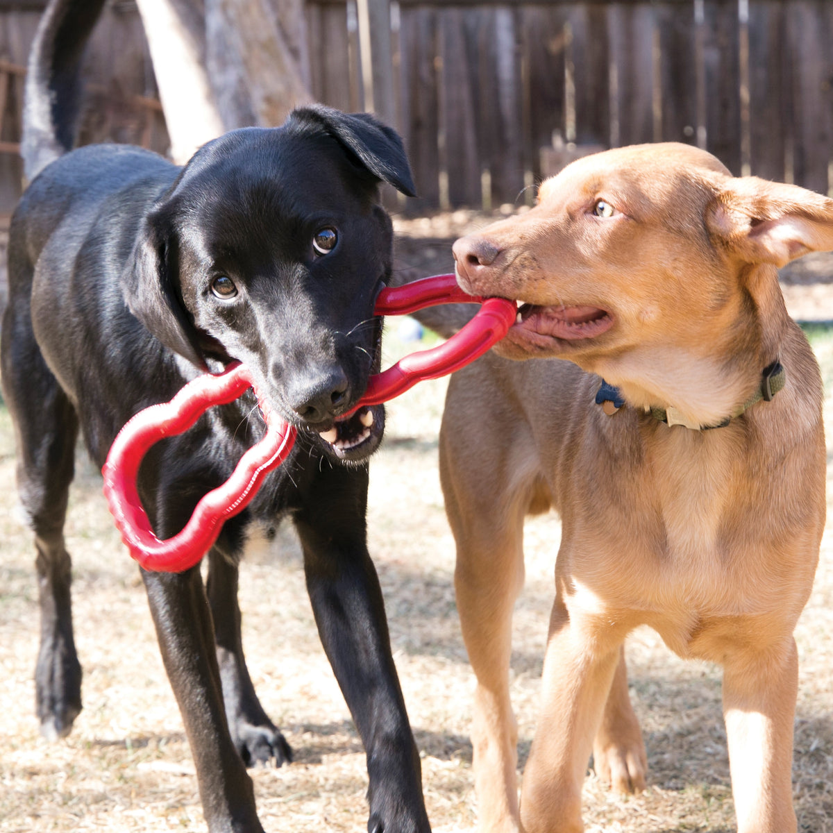 KONG® Tug Dog Toy Medium