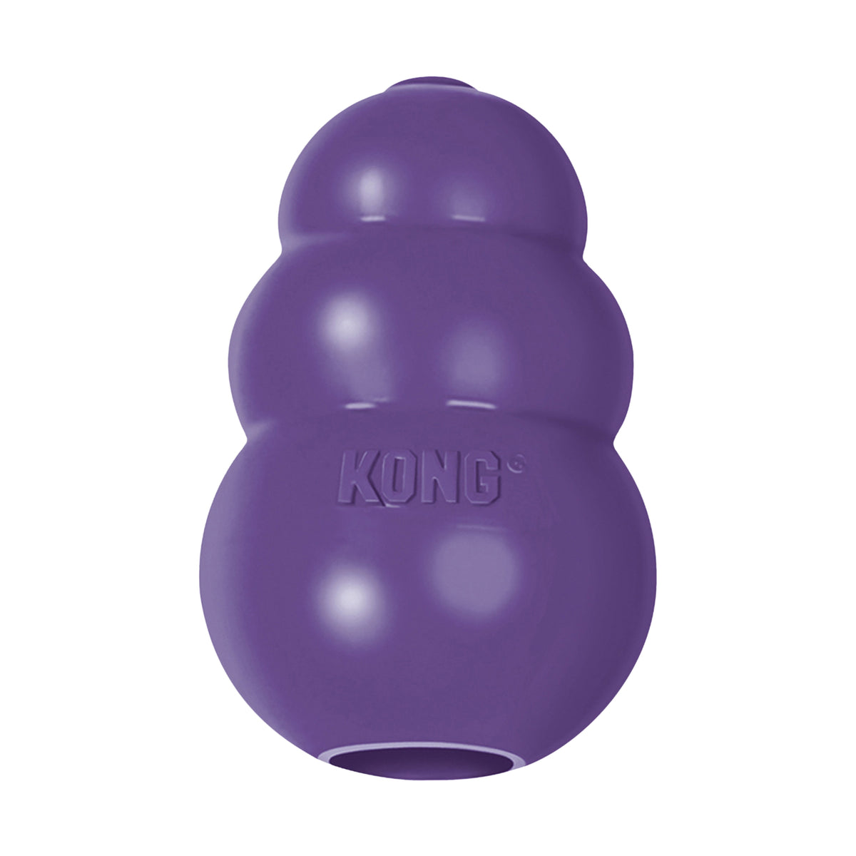 KONG® Senior Dog Chew Toy Small