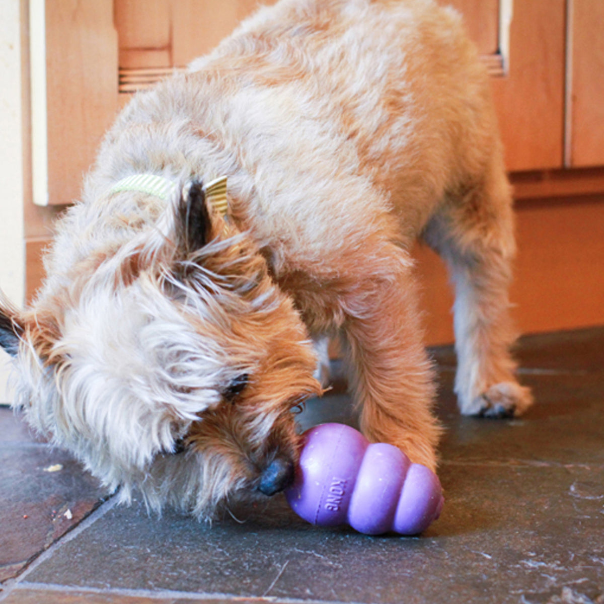 KONG® Senior Dog Chew Toy Small