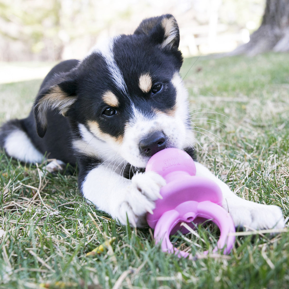 KONG® Puppy Binkie™ Chew Toy Small