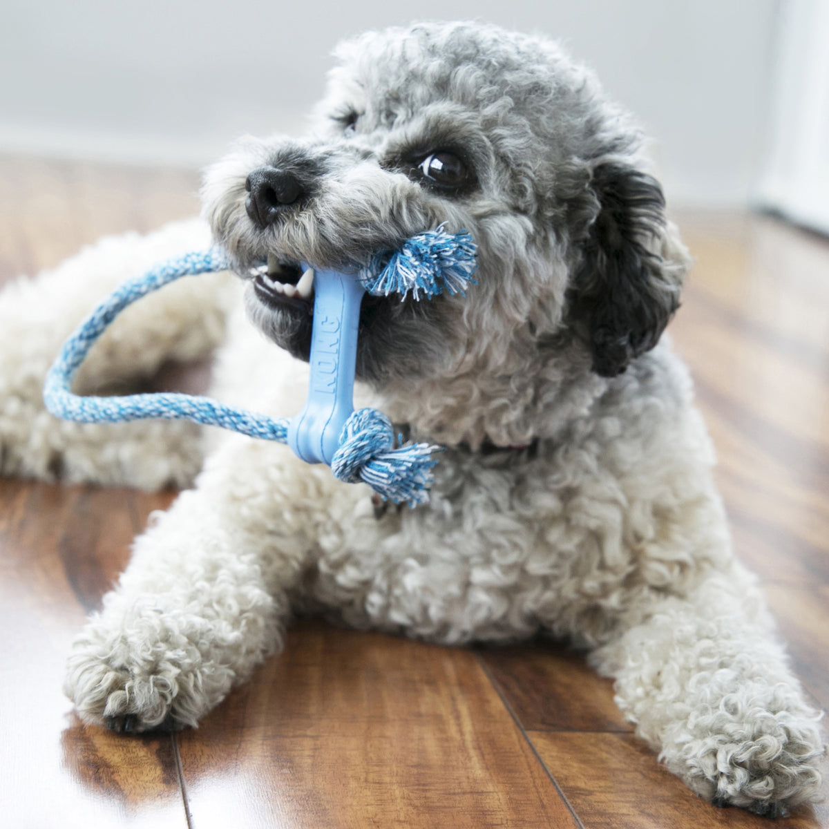 KONG® Puppy Goodie Bone w/Rope Chew Toy XS