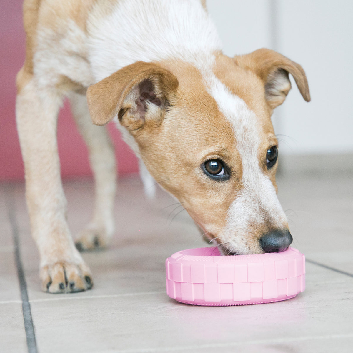 KONG® Puppy Tires Chew Toy Small