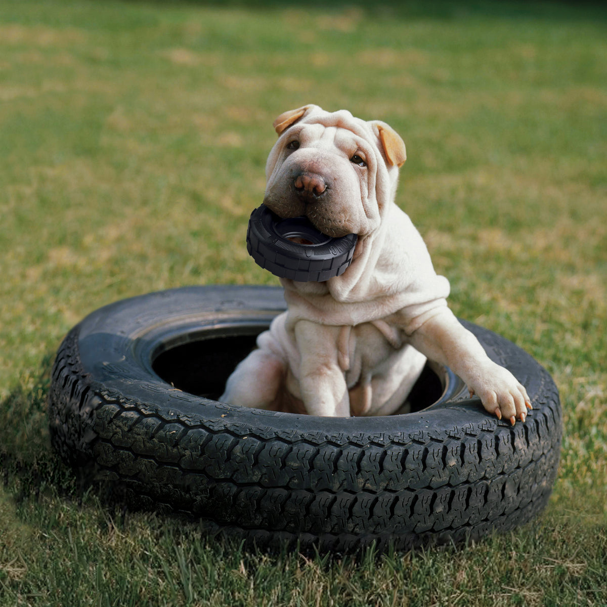 KONG® Extreme Tires Dog Chew Toy Medium/Large