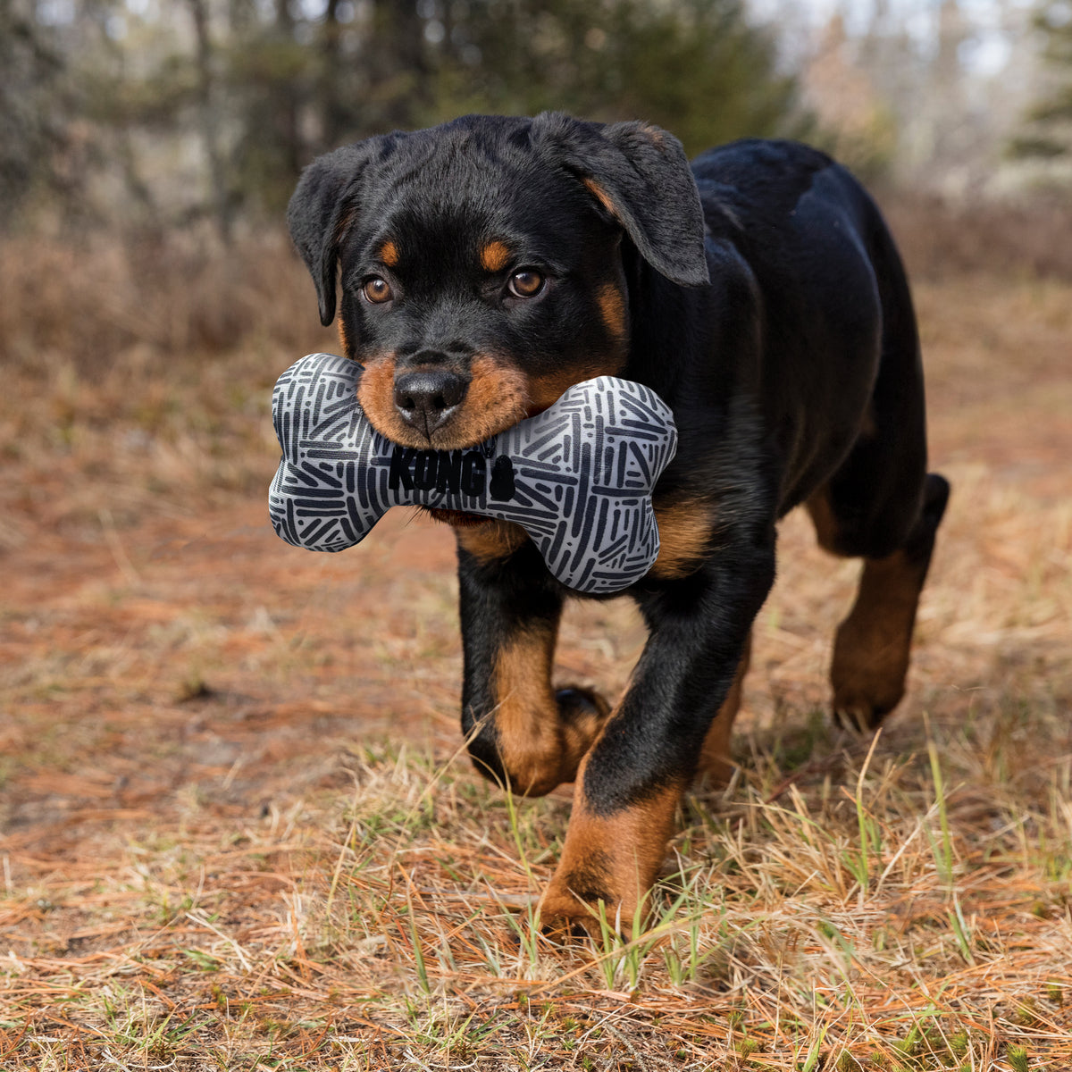 KONG® Maxx Bone Dog Fetch Toy Small/Medium