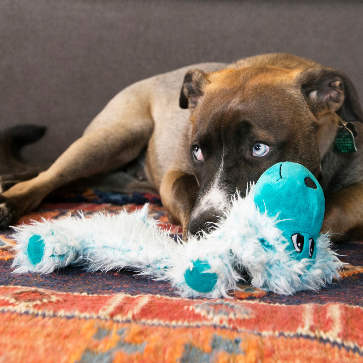 KONG® Low Stuff Scruffs Dog Plush Toy Large