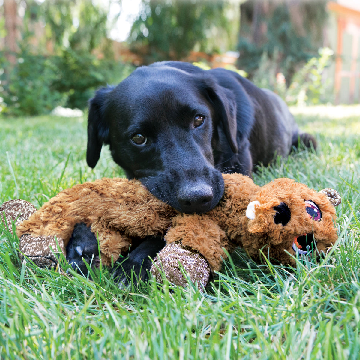 KONG® Low Stuff Flopzie Beaver Dog Plush Toy Medium