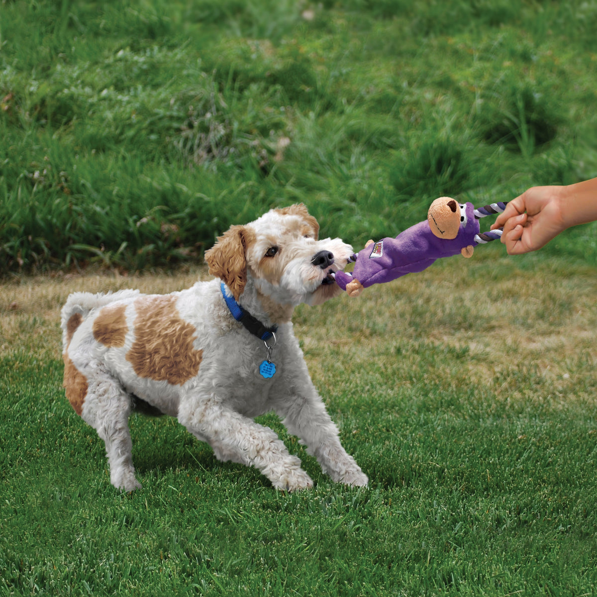 KONG® Tugger Knots Moose Dog Rope Toy Medium/Large