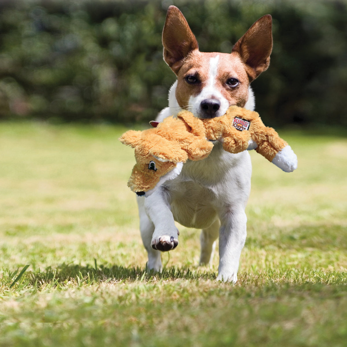 KONG® Scrunch Knots Squirrel Dog Rope Toy Medium/Large