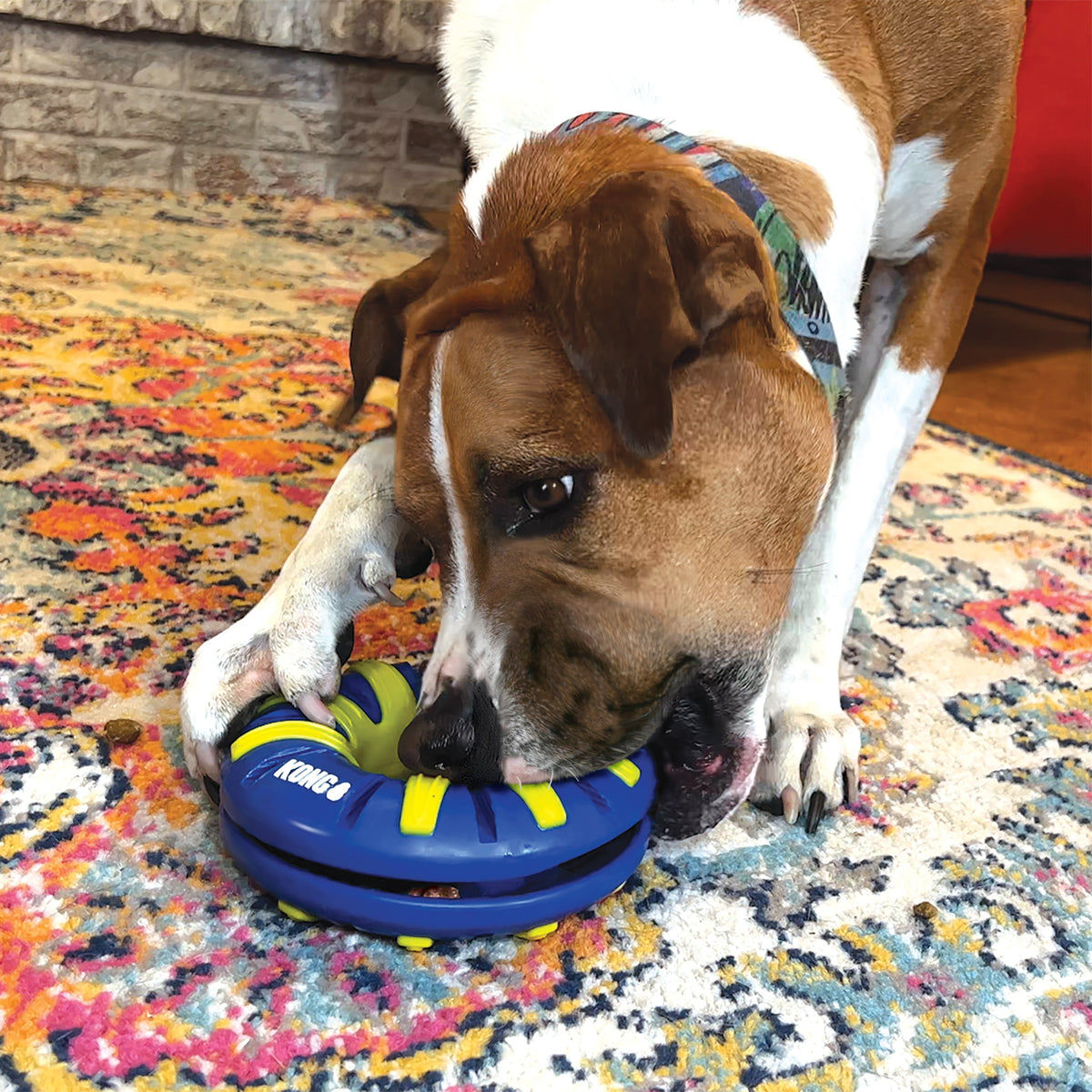 KONG® Goodiez™ Ring Dog Enrichment Toy Medium