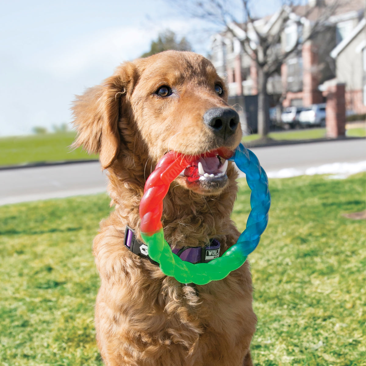 KONG® Twistz Ring Dog Tug Toy Small