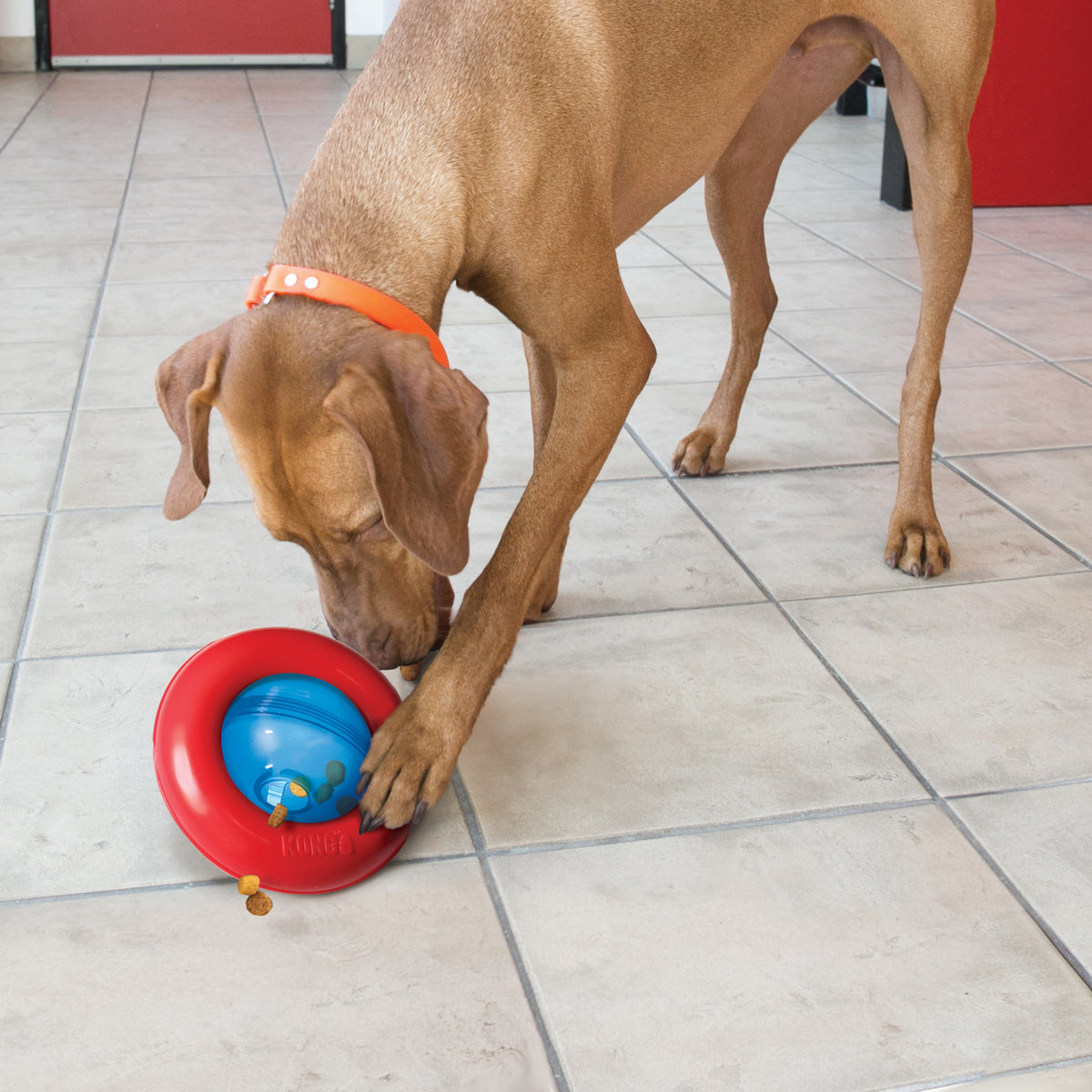 KONG® Gyro Dog Enrichment Toy Small