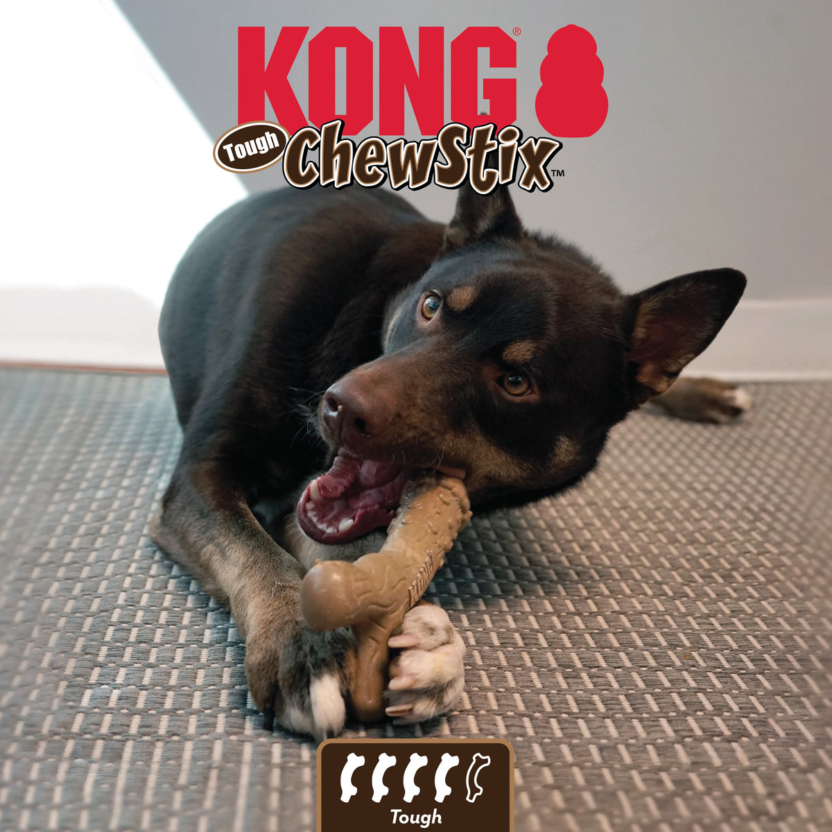 KONG® ChewStix Tough Femur Dog Chew Toy Large