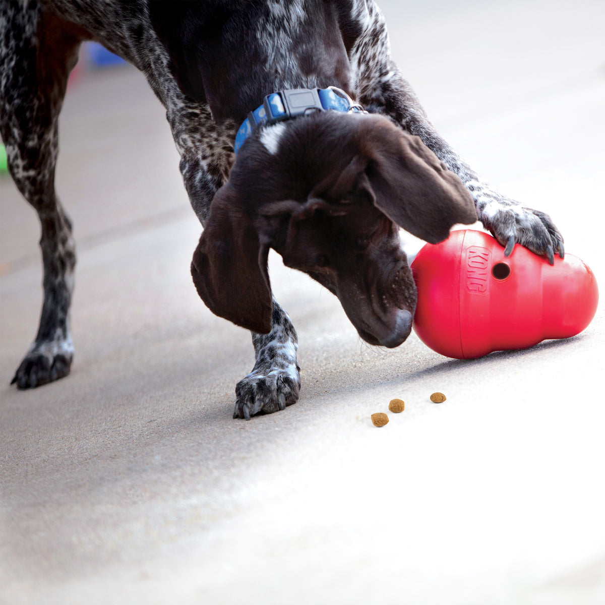 KONG® Wobbler® Dog Enrichment Toy Small