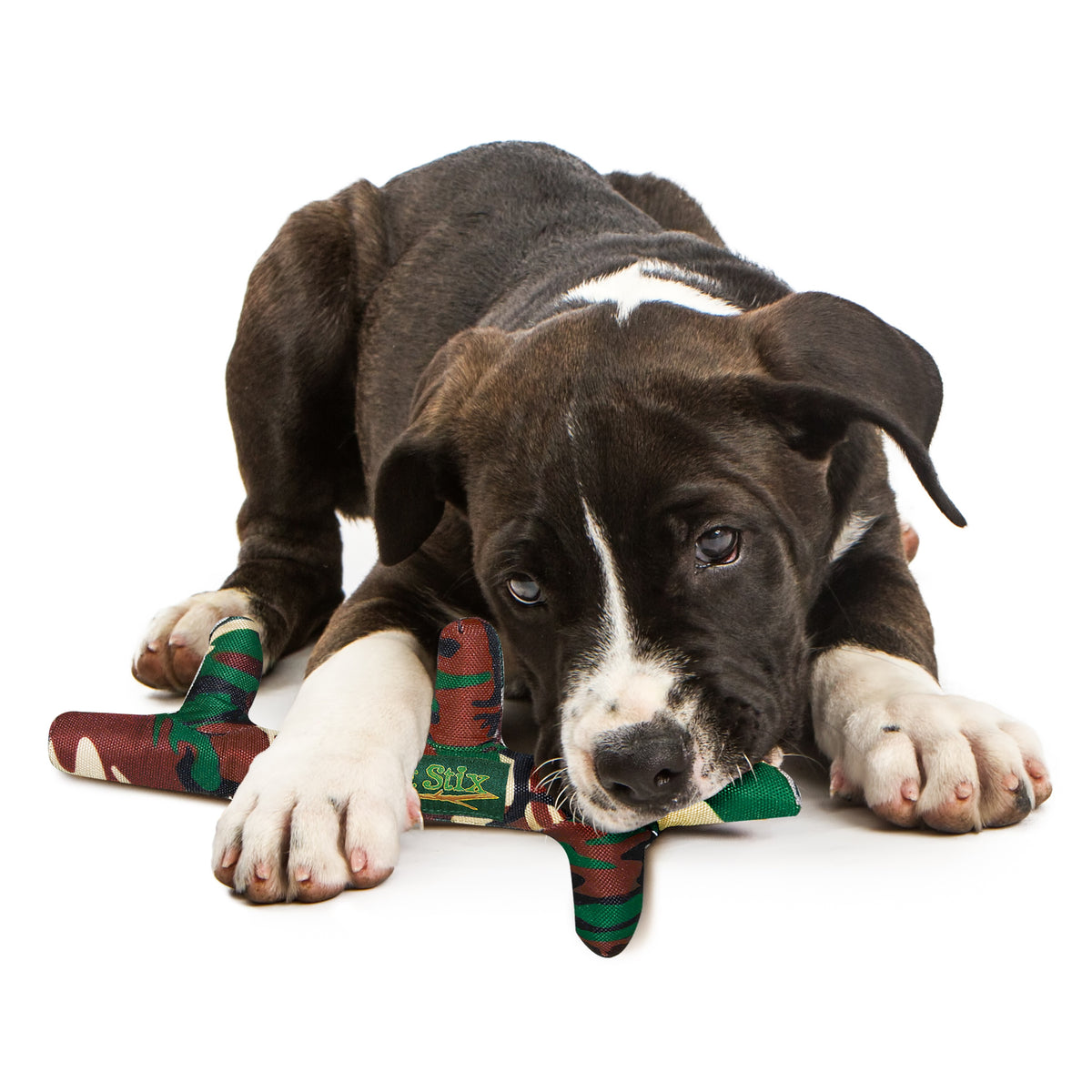 KONG® PetStix™ Dog Fetch Toy Assorted Medium