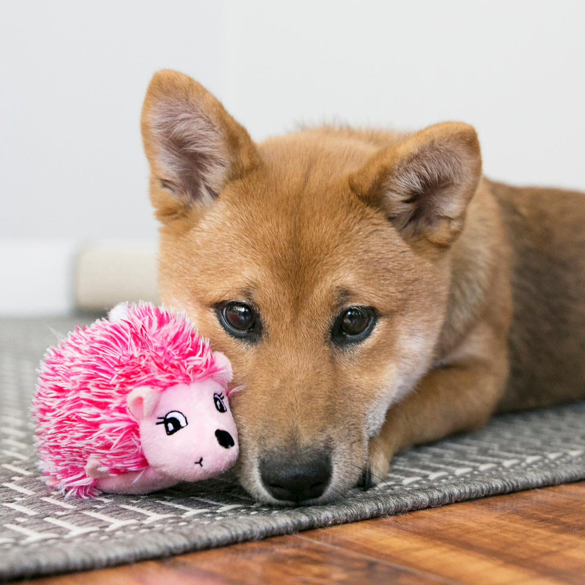 KONG® Comfort HedgeHug Puppy Dog Plush Toy Assorted XS