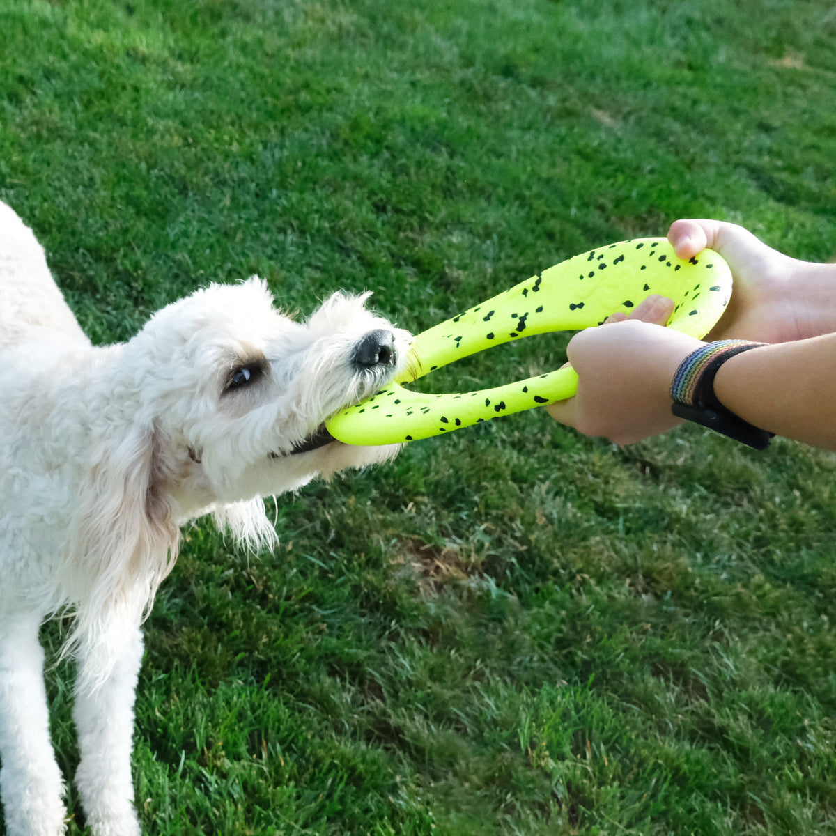 KONG® Reflex Flyer Dog Fetch Toy