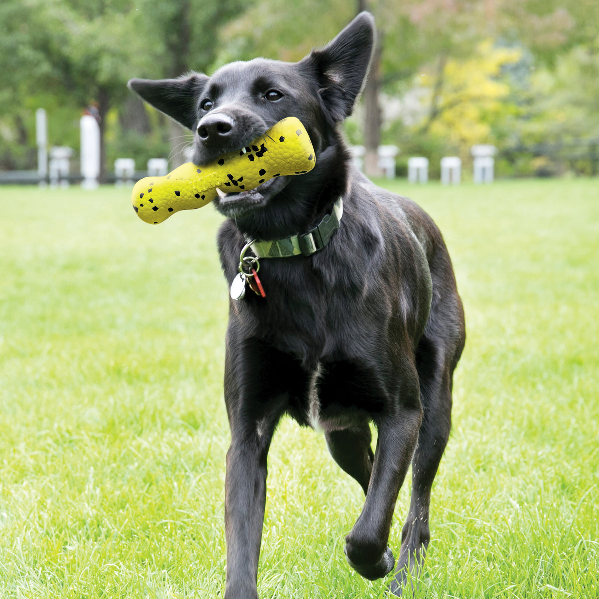 KONG® Reflex Stick Dog Fetch Toy Medium