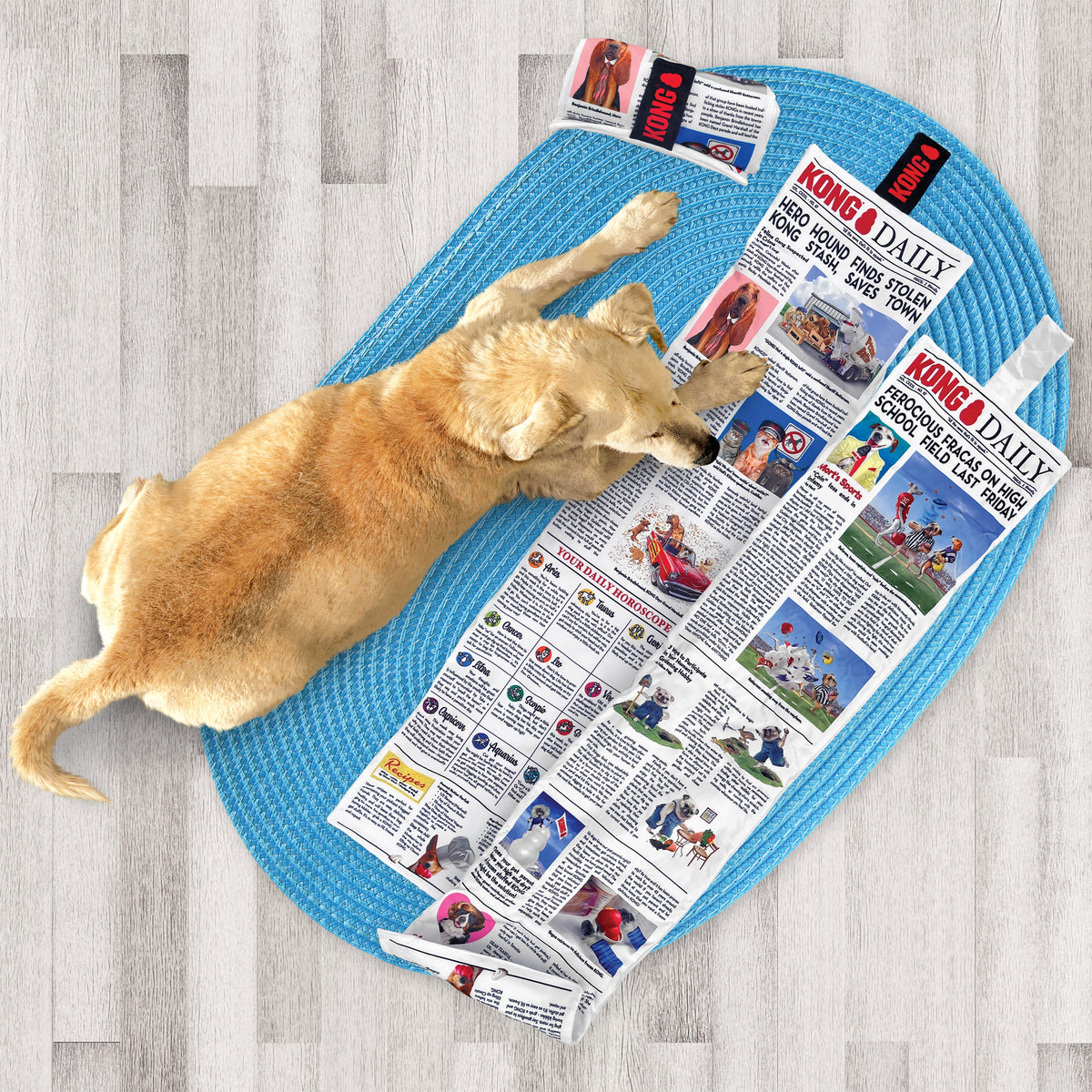 KONG® Daily Newspaper Dog Tug Toy XL